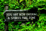 Stress Free Zone!