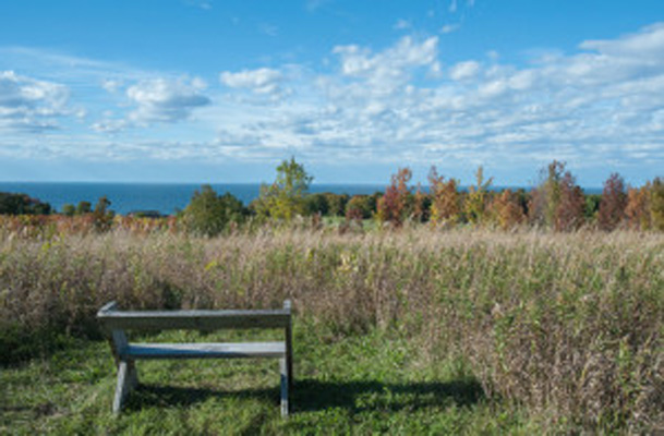 Bay Shore Blufflands Nature Preserve